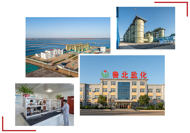 鹽化.jpg